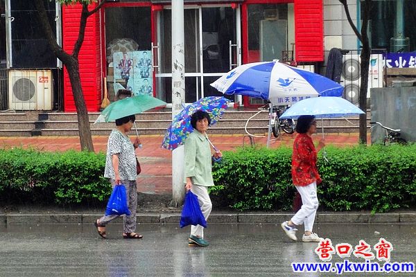 炎炎夏日里的一絲清涼