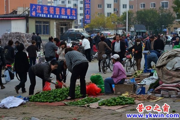 營口秋季大菜市 銷售火爆