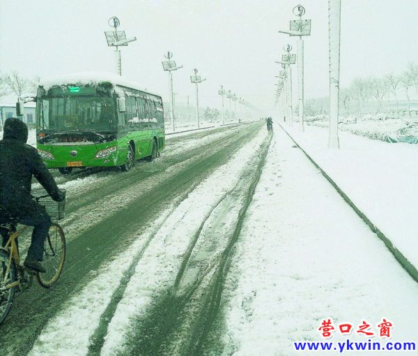 濱城飛雪帶春風(fēng)