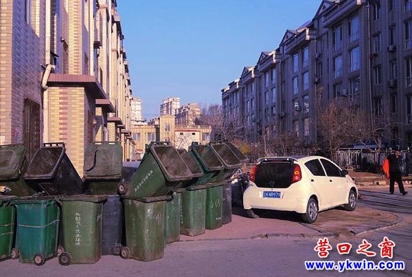 私家車亂停  堵住人行道