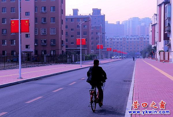 營口：紅運平安家園小區(qū)東路全線飄“紅”