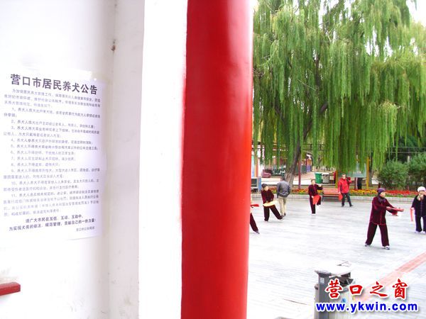 營口市公安局頒布居民養(yǎng)犬新規(guī)