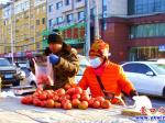 營口市新鮮西紅柿冬夏同價