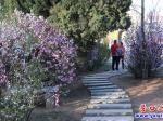 楞嚴(yán)寺公園：鮮花盛開“滿園春色”