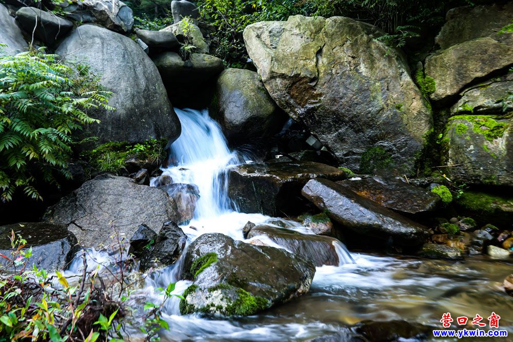 黃牙口水瀑