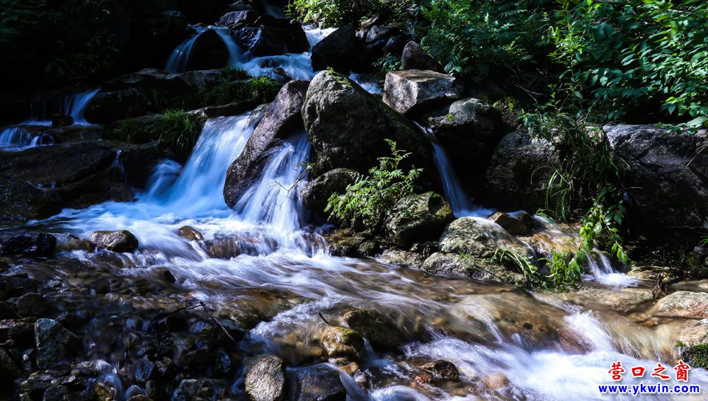 黃牙口水瀑