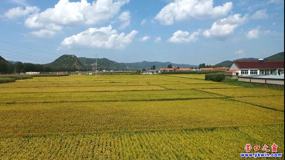 營口大石橋市建一鎮(zhèn)路公村